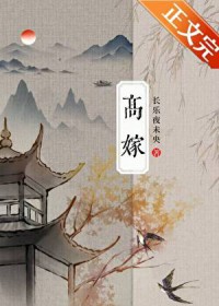 高嫁小夫郎